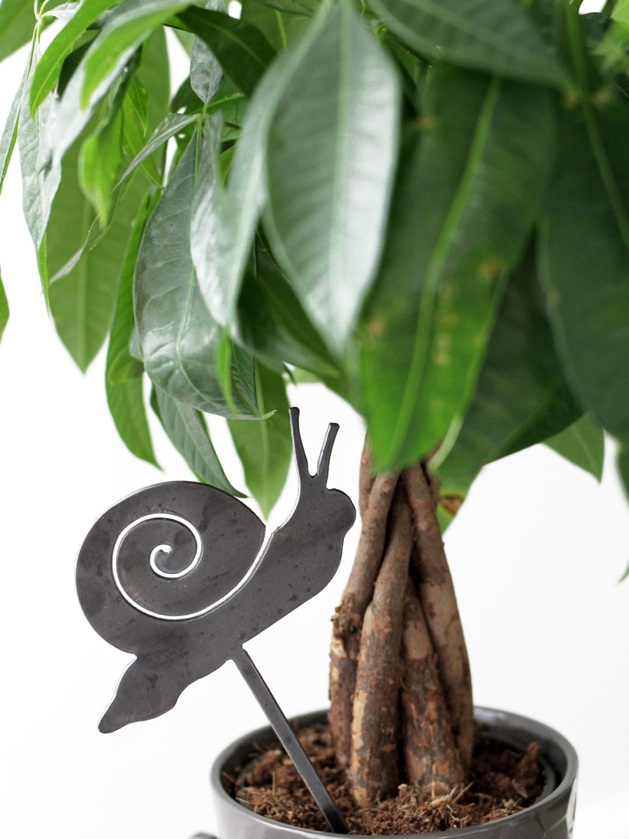 Snail Plant Stake From Jubilee Trading Company