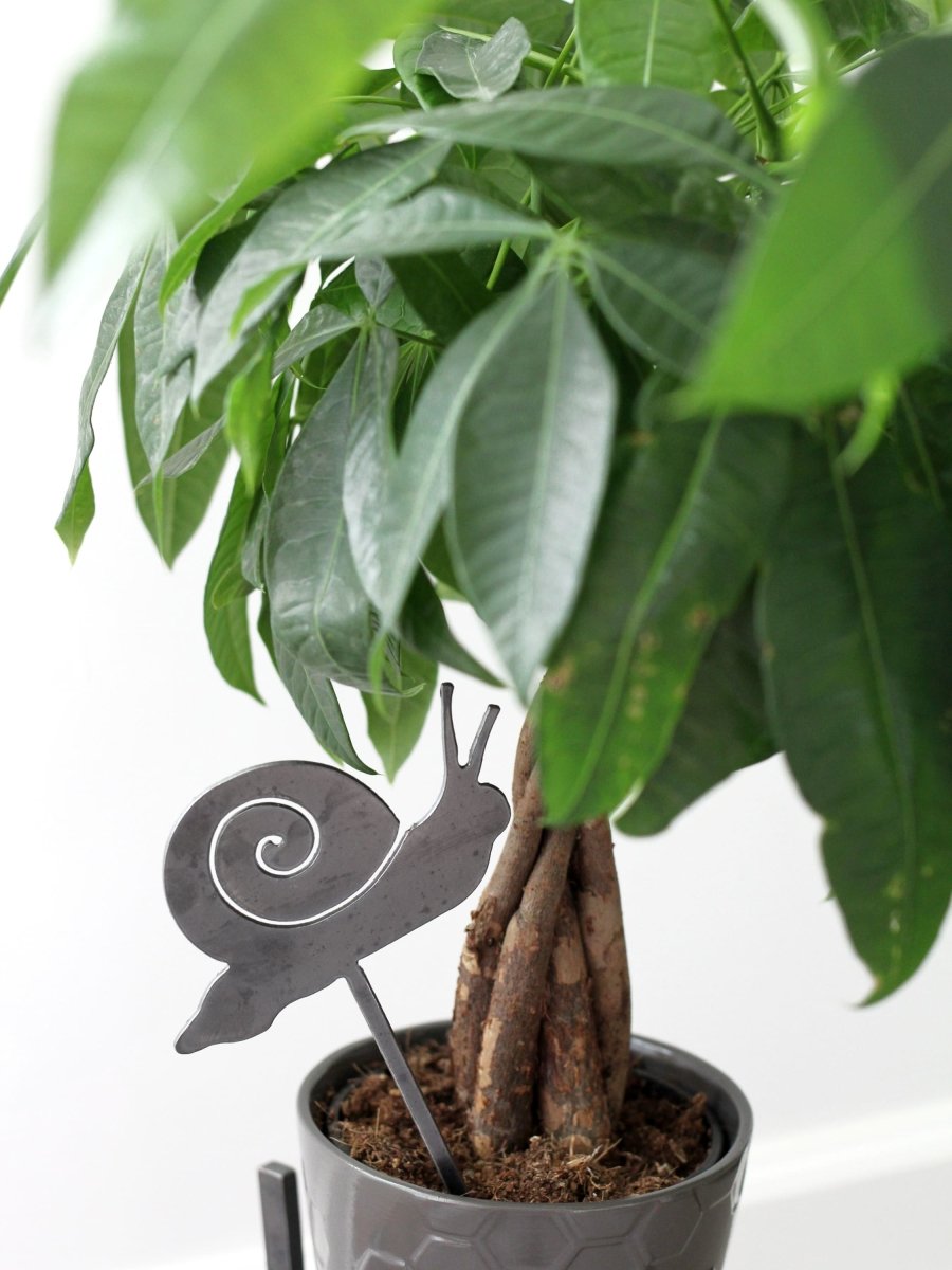 Snail Plant Stake From Jubilee Trading Company
