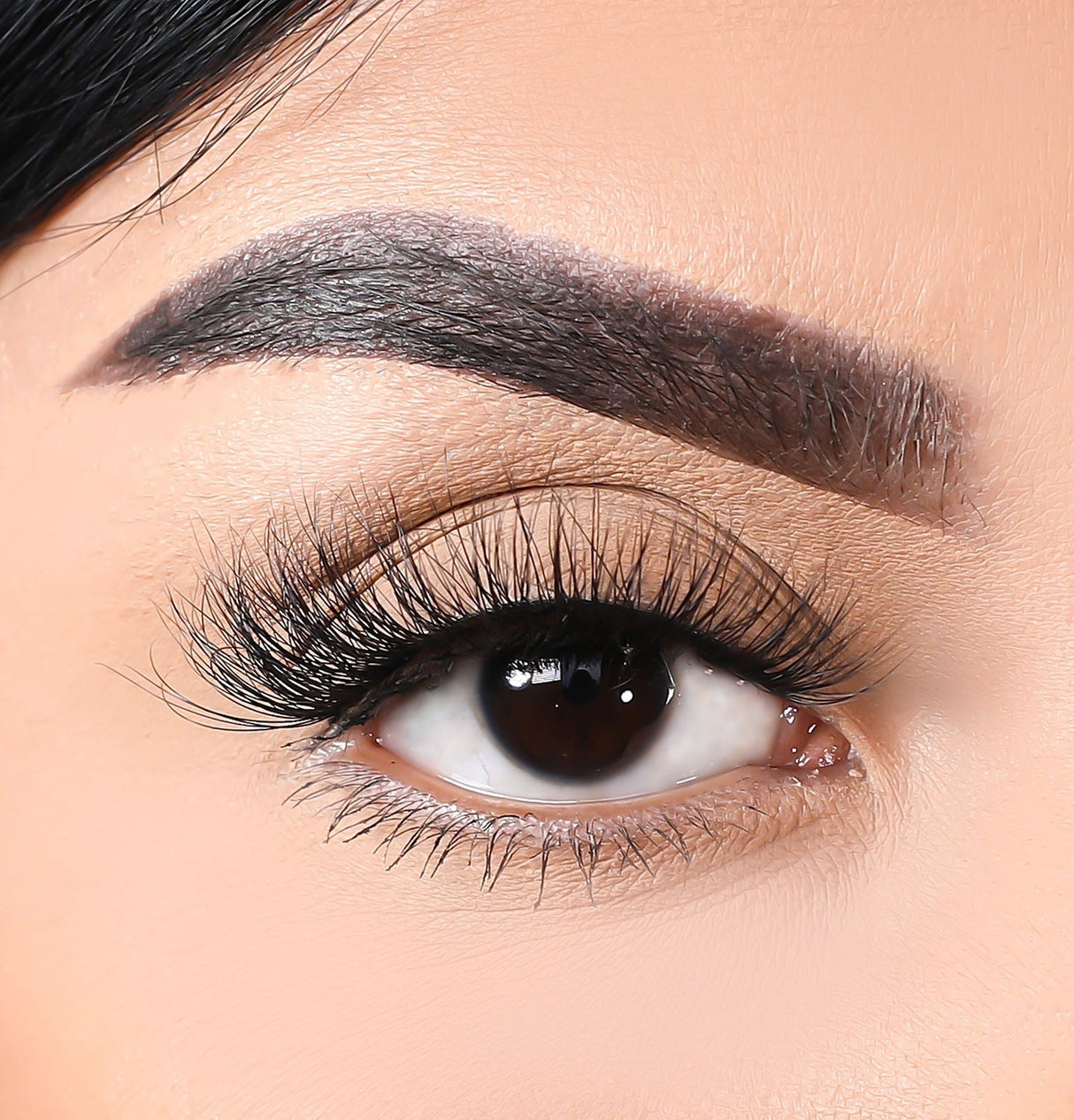 3D Mink Eyelashes - Snake from False Eyelashes