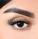 3D Mink Eyelashes - Snake from False Eyelashes