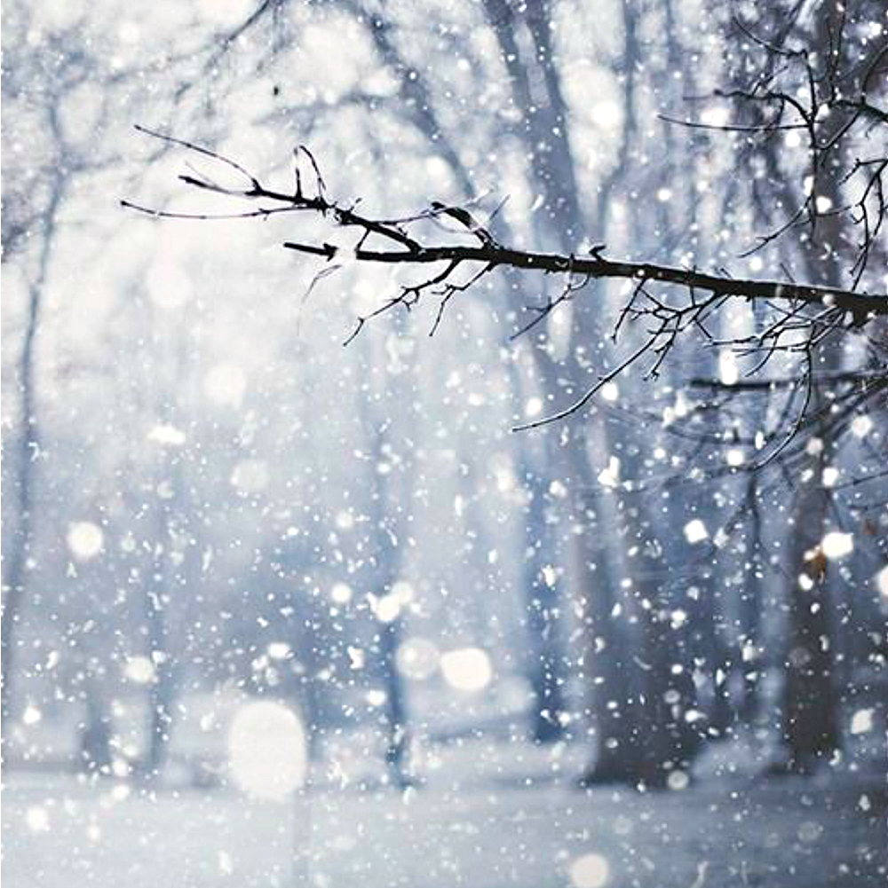 Snow from Wicked Good Perfume