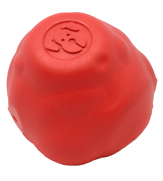Asteroid Ultra Durable Rubber Chew Toy From SodaPup