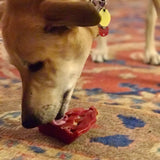 Cherry Pie Ultra Durable Nylon Dog Chew Toy and Treat Holder From SodaPup