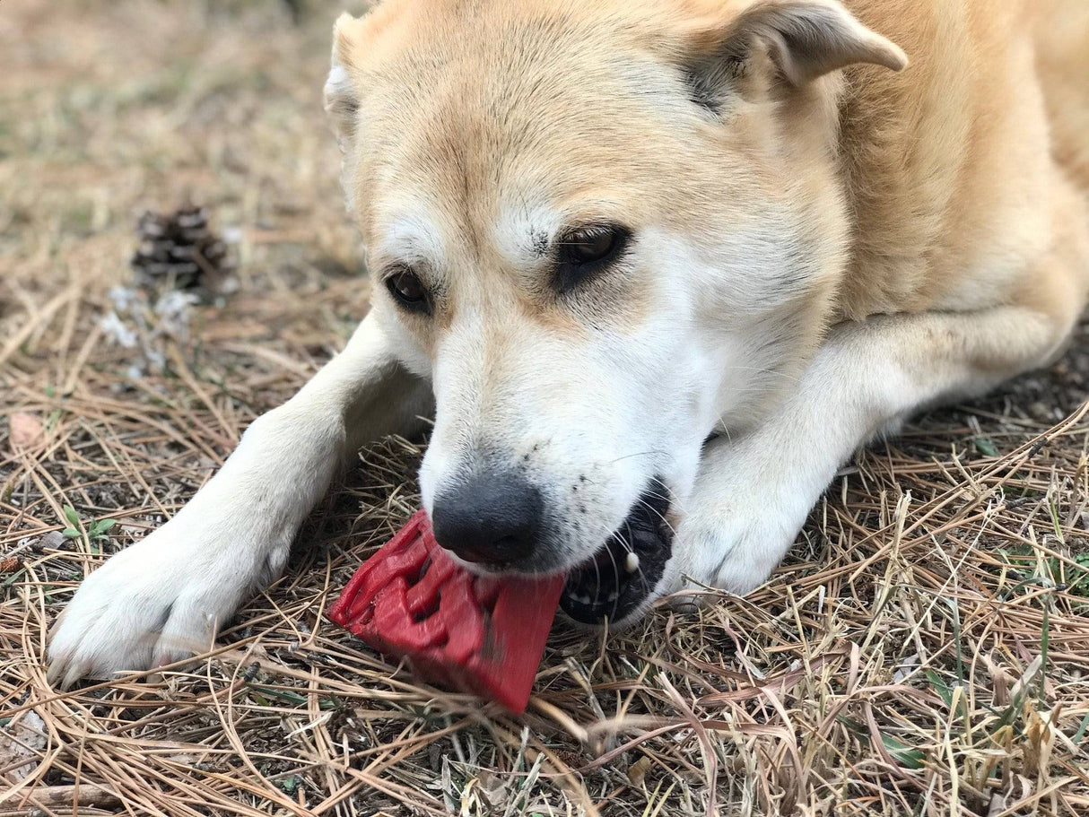 Cherry Pie Ultra Durable Nylon Dog Chew Toy and Treat Holder From SodaPup