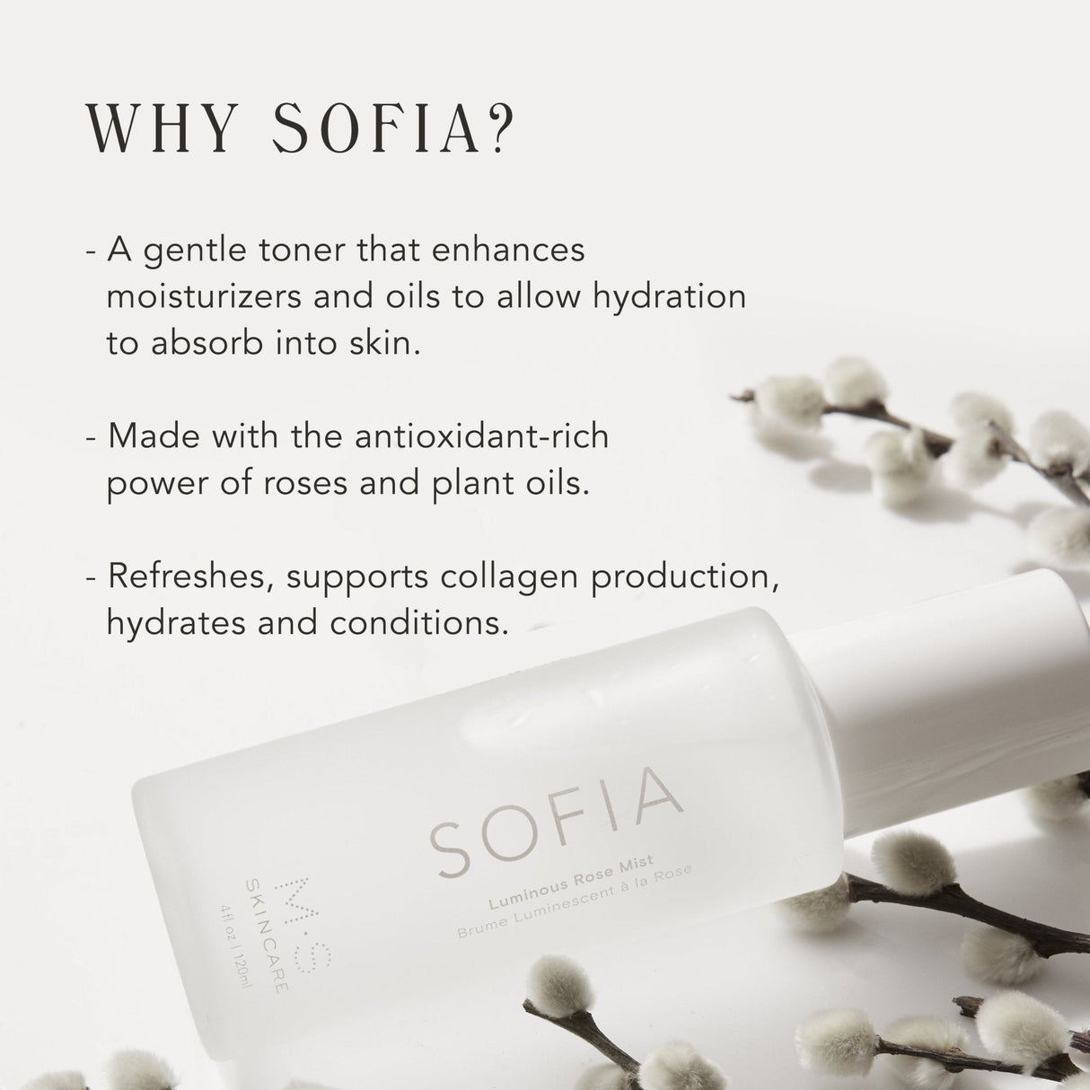 SOFIA | Luminous Rose Mist from M.S. Skincare
