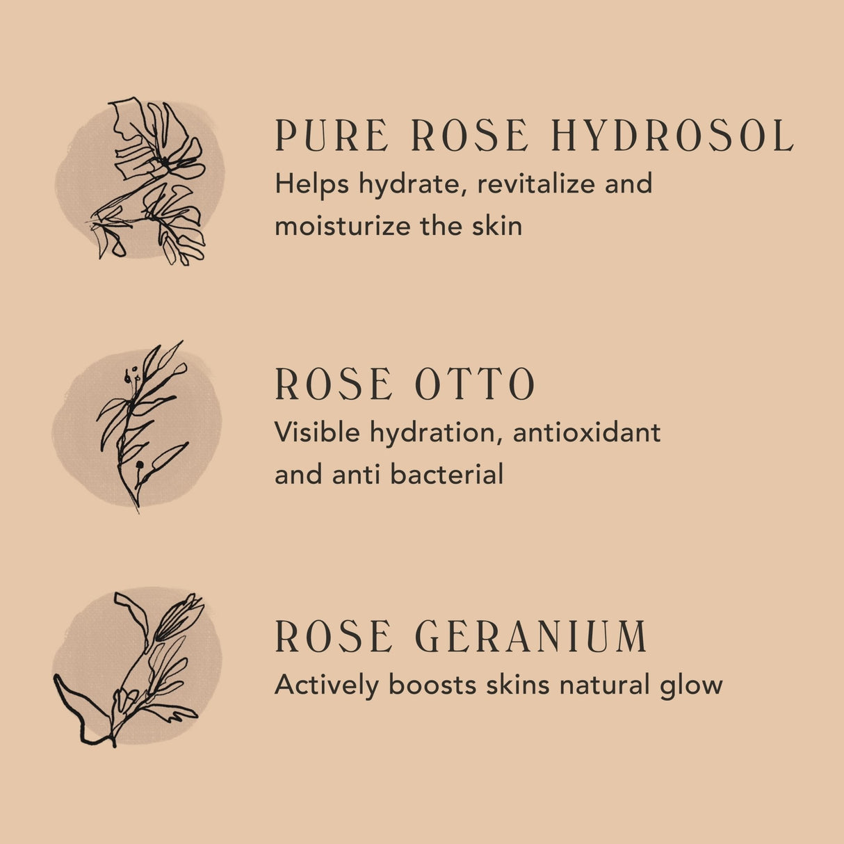 SOFIA | Luminous Rose Mist from M.S. Skincare