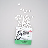 Wintergreen Toothpaste Tablets from Canary