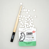 Wintergreen Toothpaste Tablets from Canary