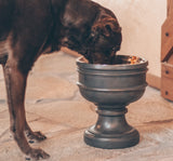 Summit Elevated Dog Bowl from Pet Junkie