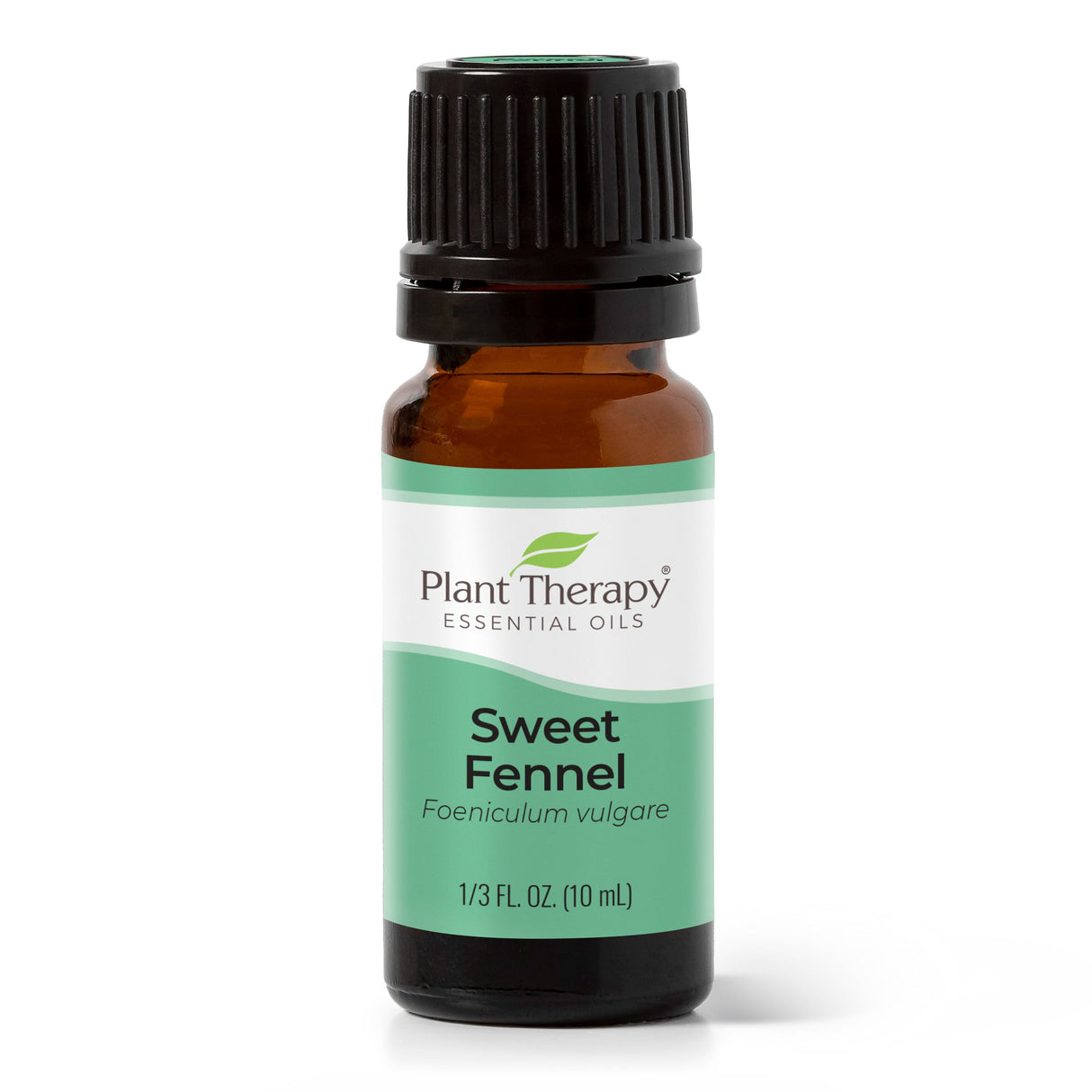 Sweet Fennel Essential Oil from Plant Therapy