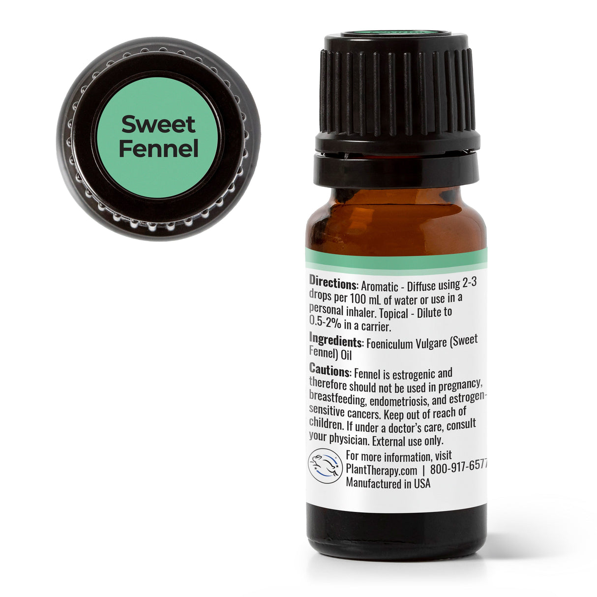 Sweet Fennel Essential Oil from Plant Therapy