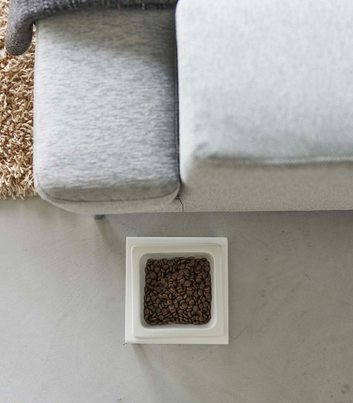 Single Pet Food Bowl - Two Styles - Steel + Ceramic from Yamazaki Home