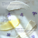 Capsule Skincare Kit from Clara & Fritz Tallow Shop