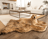 PupRug by Paw.com™ Faux Fur Orthopedic Dog Bed - Curve Sable Tan from Paw.com