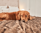 PupProtector™ Summer Short Fur Waterproof Throw Blanket - Sable Tan from Paw.com