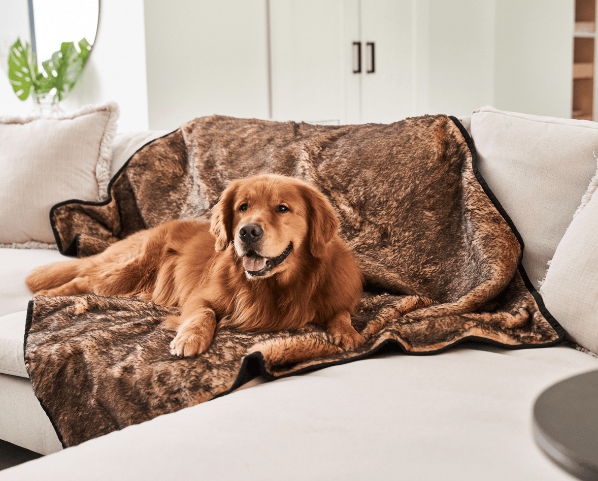 PupProtector™ Summer Short Fur Waterproof Throw Blanket - Sable Tan from Paw.com