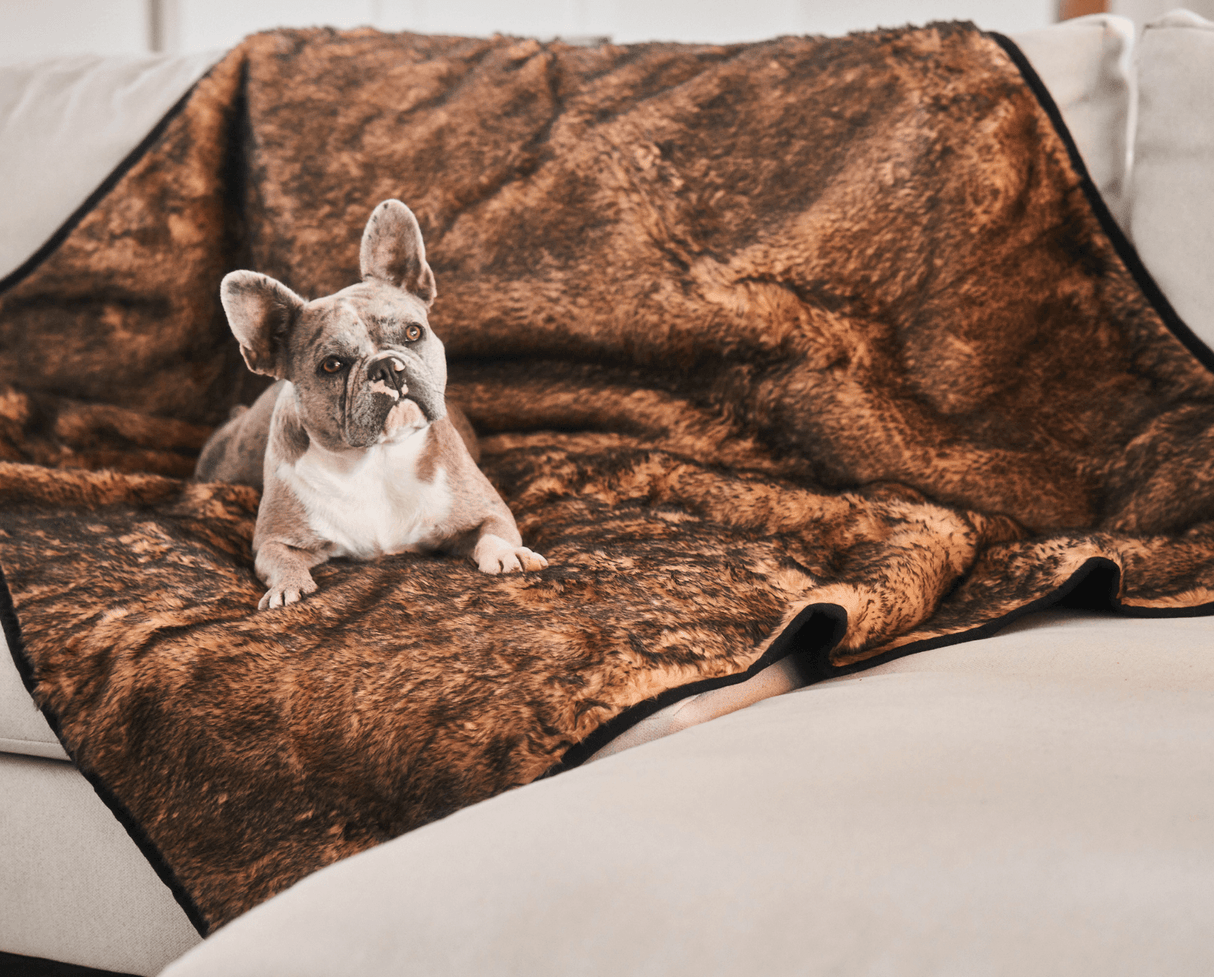 PupProtector™ Summer Short Fur Waterproof Throw Blanket - Sable Tan from Paw.com