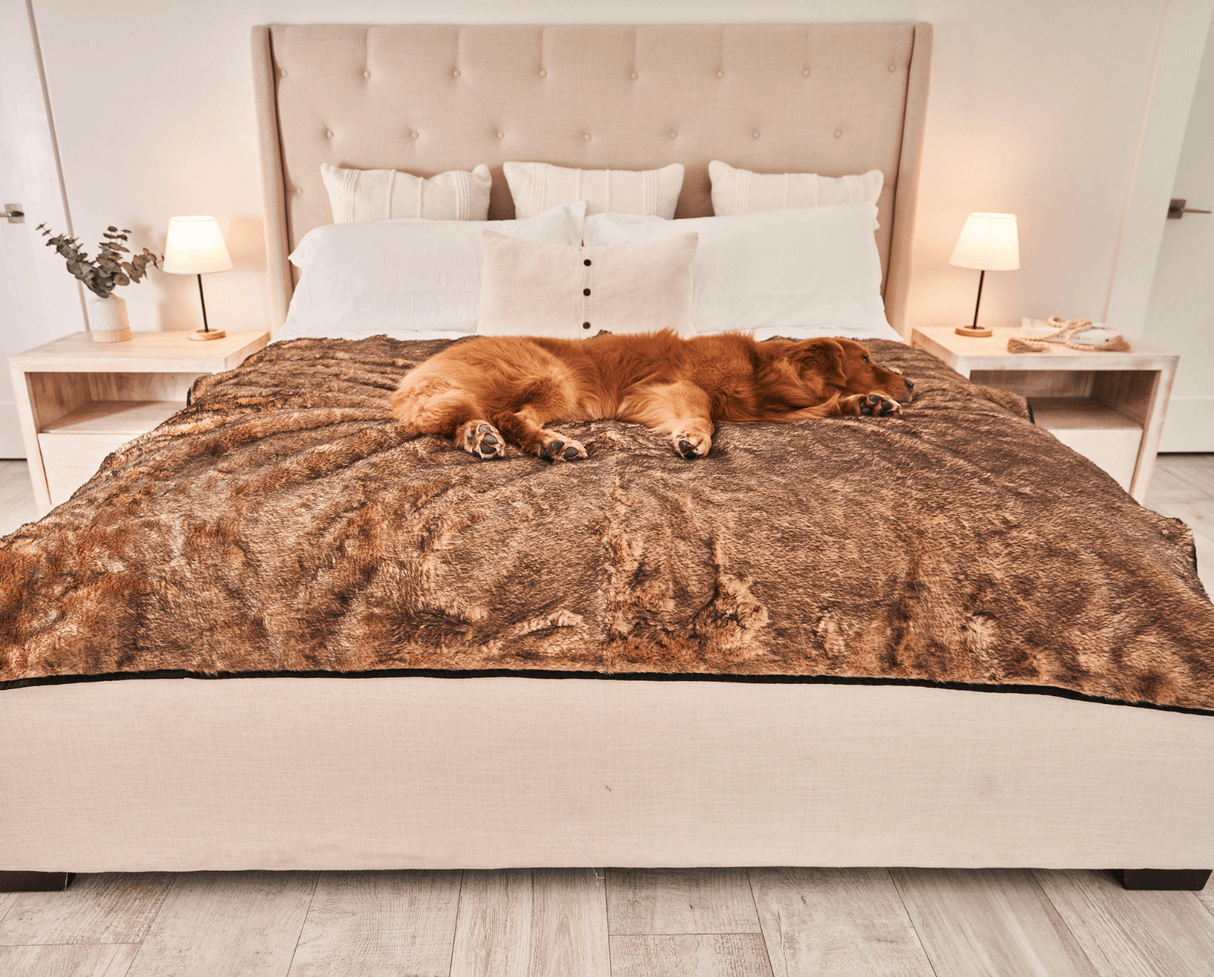 PupProtector™ Summer Short Fur Waterproof Throw Blanket - Sable Tan from Paw.com