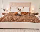 PupProtector™ Summer Short Fur Waterproof Throw Blanket - Sable Tan from Paw.com