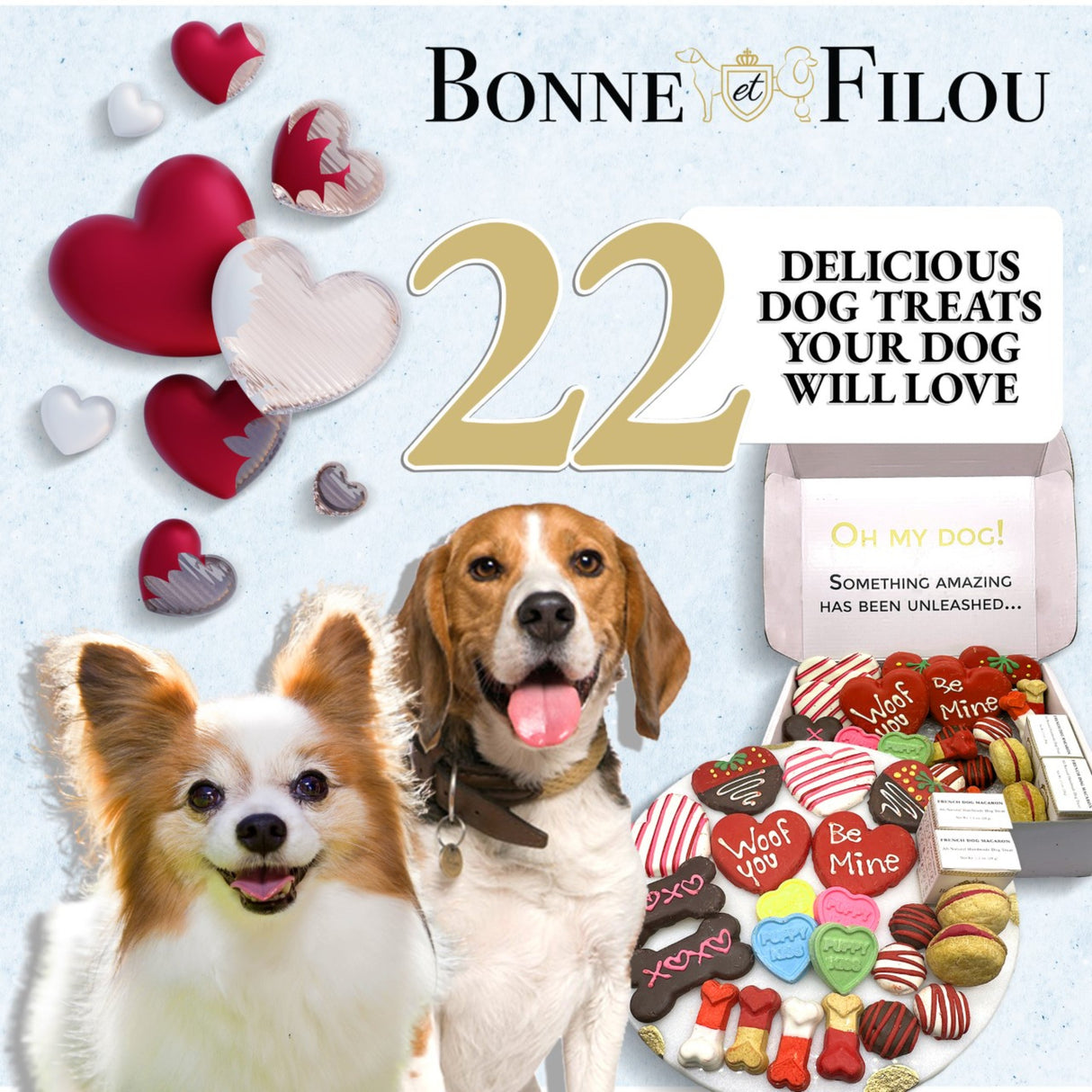 Love My Dog Themed Treats Box from Bonne et Filou