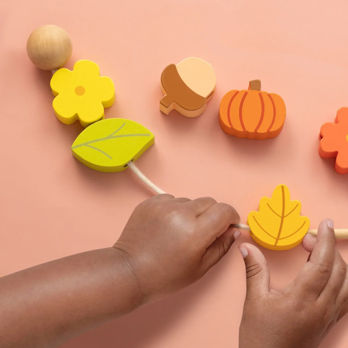 Tiny Land® Montessori Toys for Toddlers (19-24month) From Tiny Land