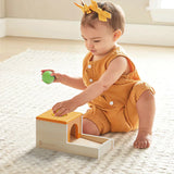 Tiny Land® Montessori Toys Set for Infants (10-12 month) From Tiny Land