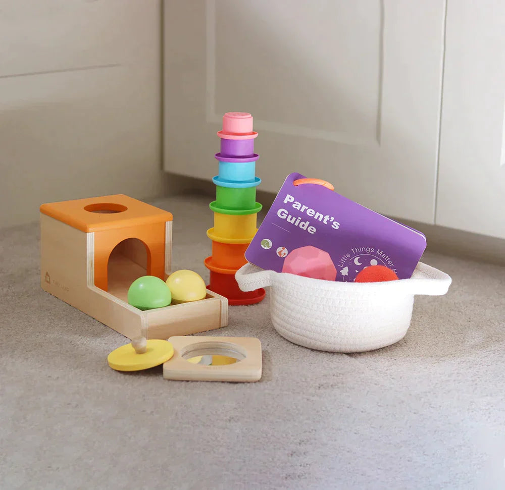 Tiny Land® Montessori Toys Set for Newborns (6-9 month) From Tiny Land
