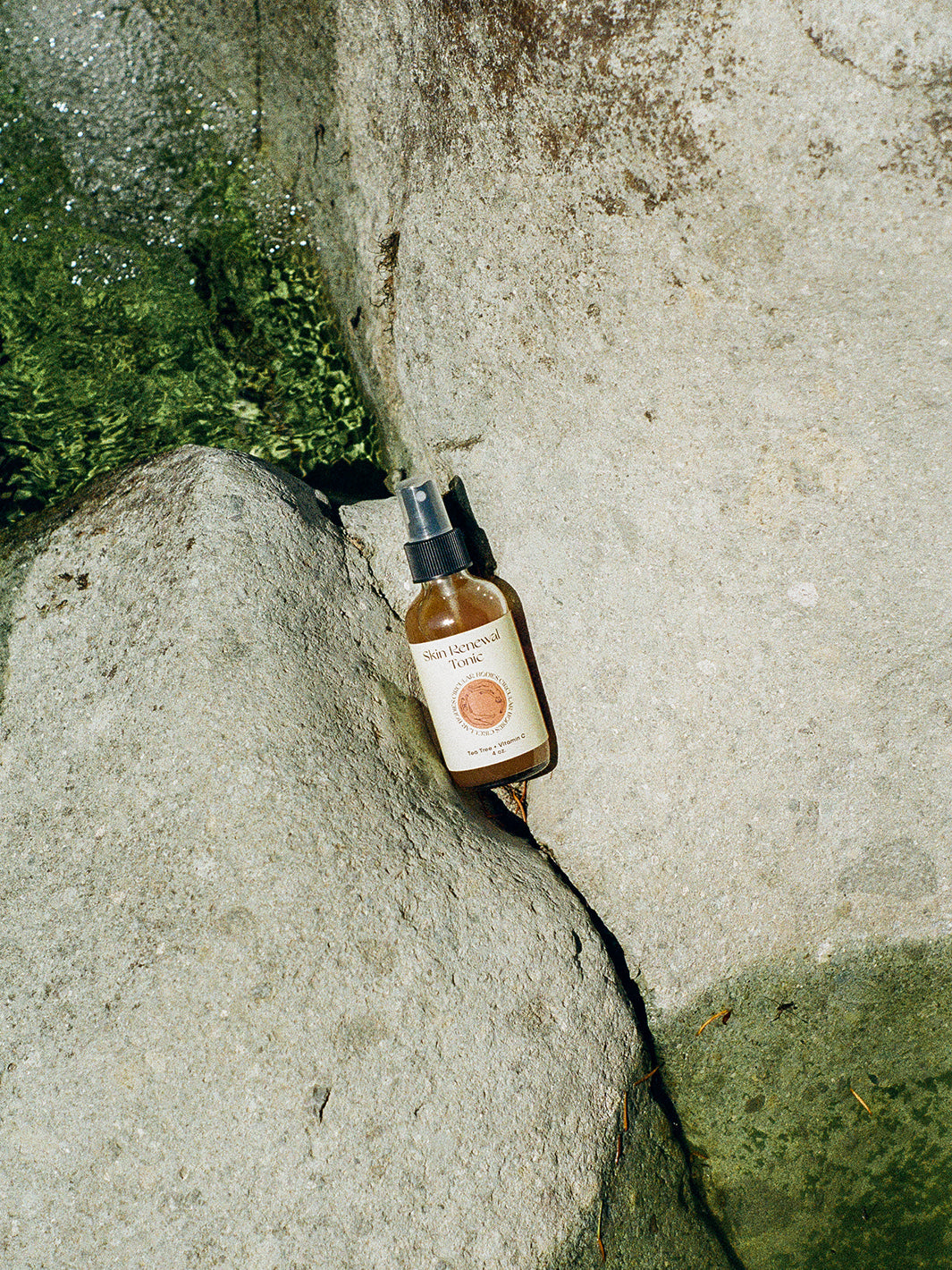 Skin Renewal Tonic from Circular Bodies
