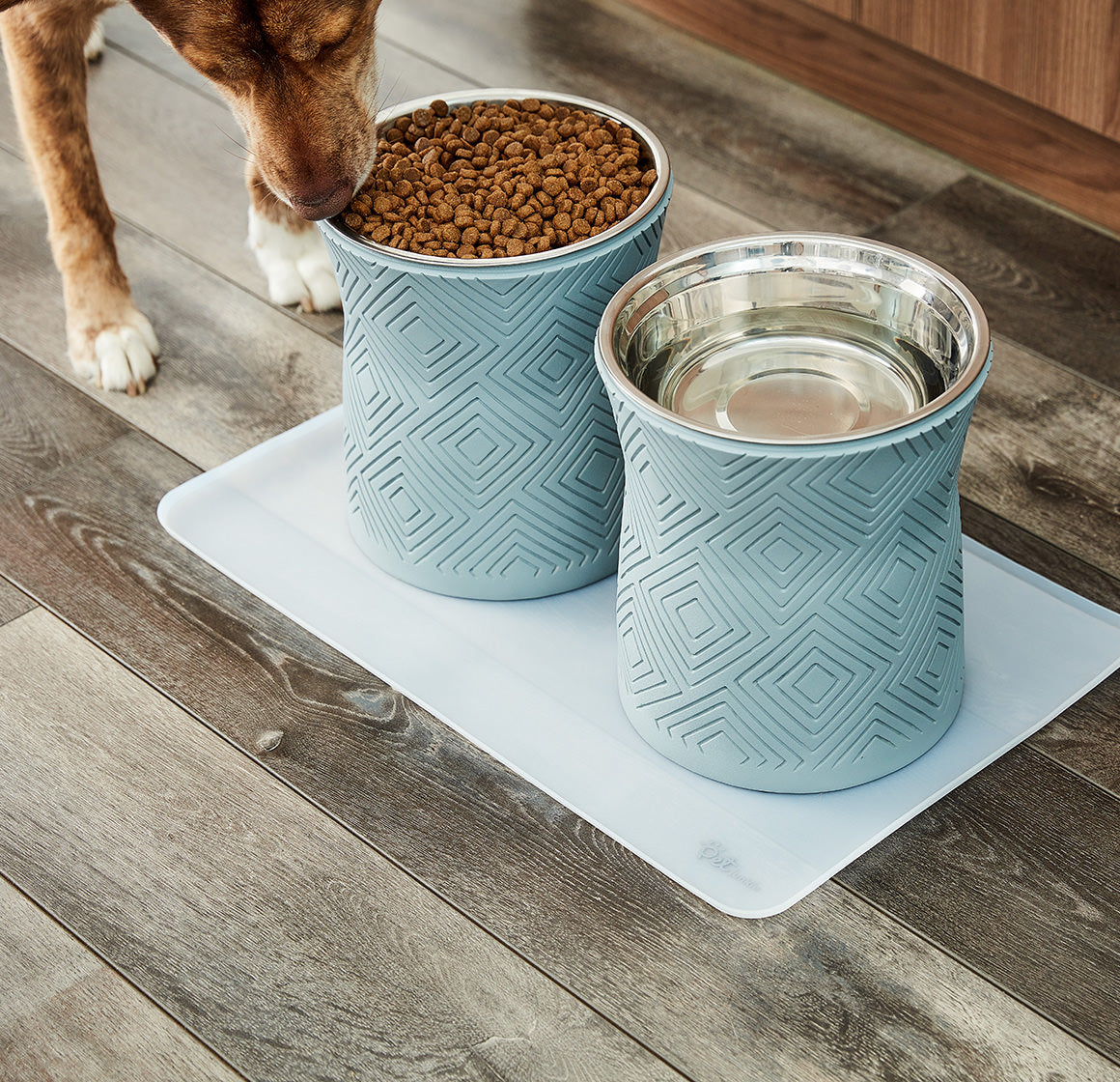 Santa Fe Modern Elevated Dog Bowl from Pet Junkie