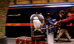 Platform 9 3/4 from Wicked Good Perfume