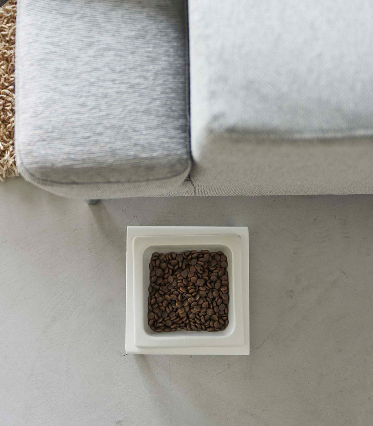 Single Pet Food Bowl - Two Styles - Steel + Ceramic from Yamazaki Home