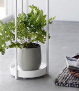 Two-Tier Rolling Plant Stand (28" H)  - Steel from Yamazaki Home