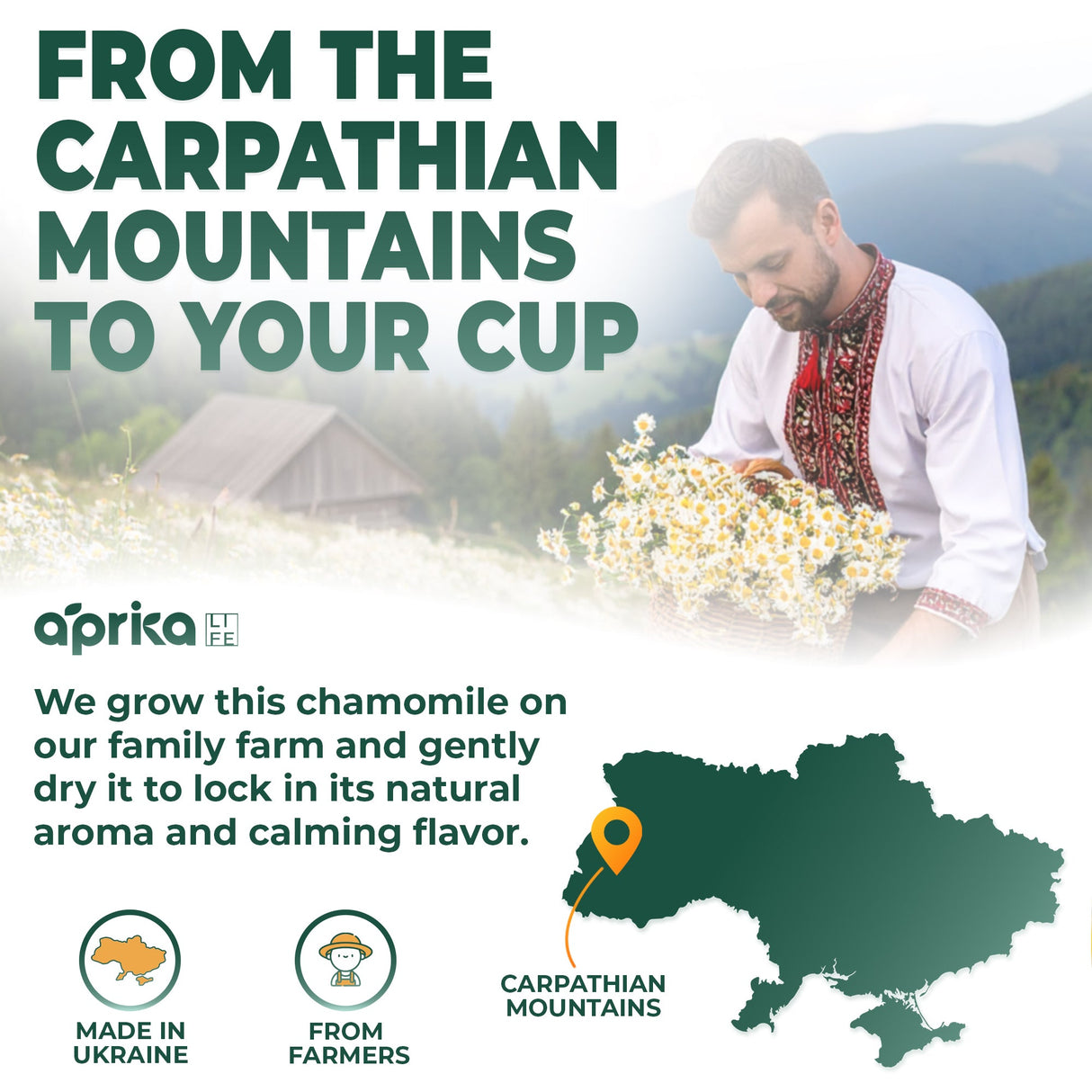 100% Pure Chamomile Herbal Tea, 60 Bags from Aprika Life