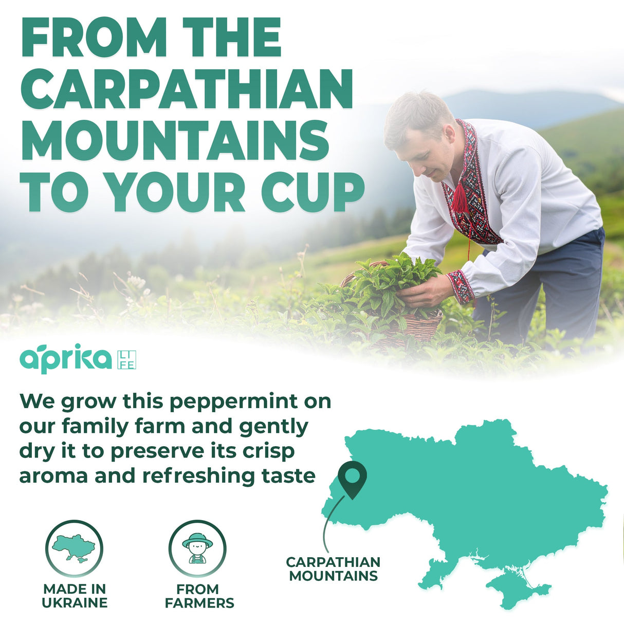 100% Pure Peppermint Herbal Tea, 60 Bags from Aprika Life