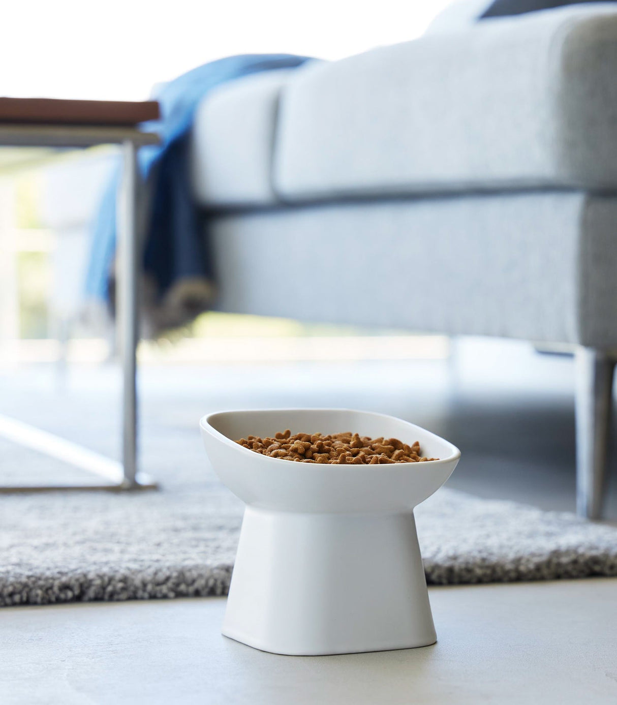 Tilted Pet Food Bowl from Yamazaki Home