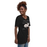 "ANATOMY OF A SPHYNX" WOMAN'S V-NECK TEE from ReNewedPet