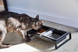 Pet Food Bowl from Yamazaki Home