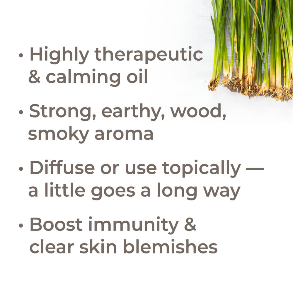 Organic Vetiver Essential Oil from Plant Therapy
