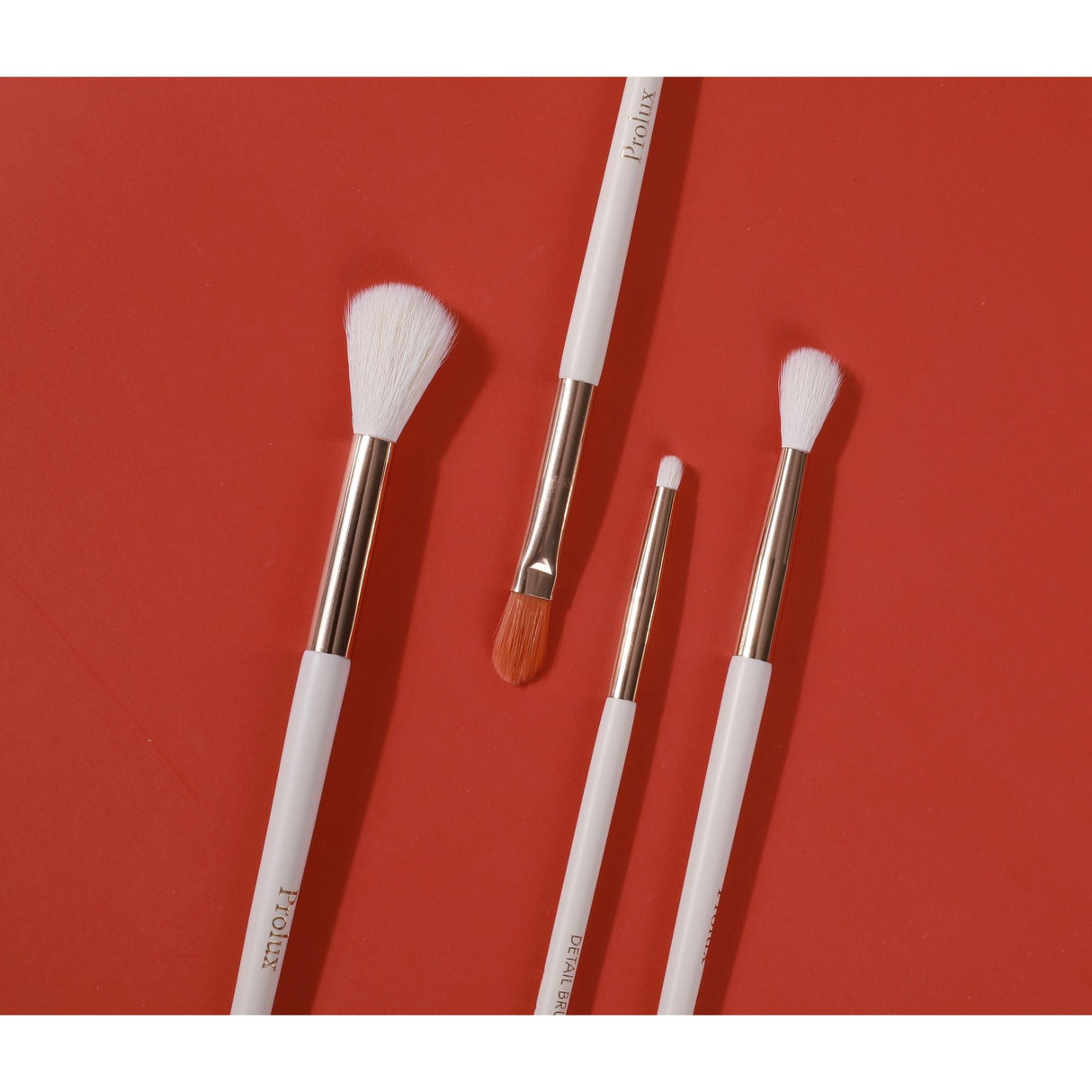 Detailed Eyeshadow Brush From Prolux Cosmetics