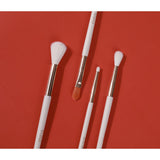 Detailed Eyeshadow Brush From Prolux Cosmetics