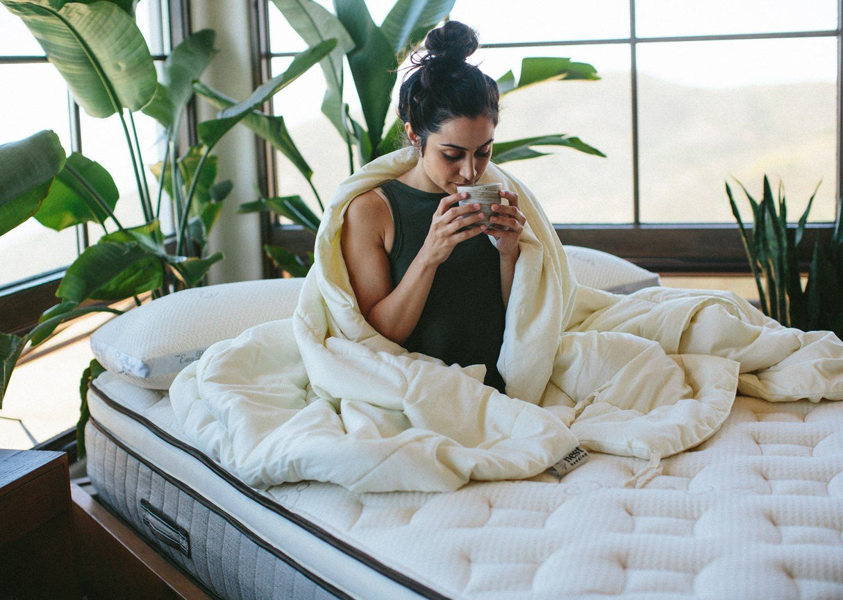 Nest Bedding Washable Wool Comforter From Nest Bedding