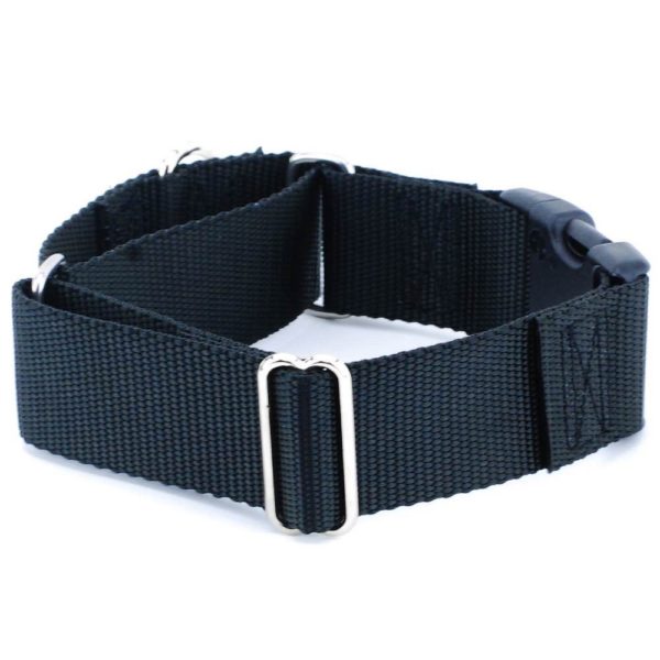 Nylon Buckle Martingale Dog Collars (Multiple Color Options) 1.5″ From 2 Hounds Design