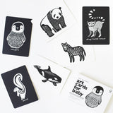 Little Naturalist Gift Set - Black + White From Wee Gallery