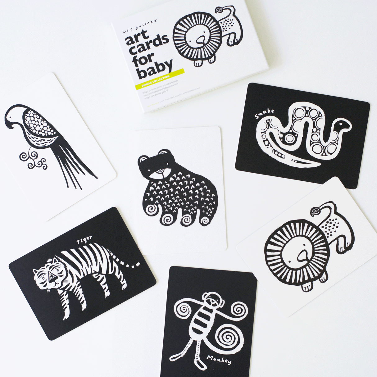 Art Cards for Baby - Jungle Collection From Wee Gallery