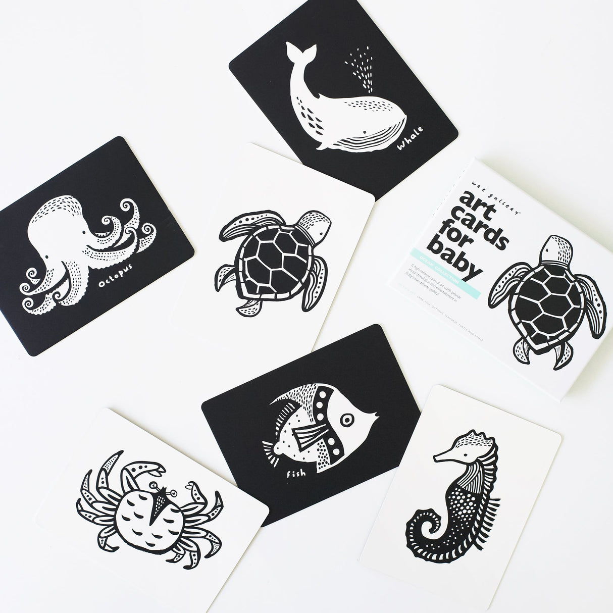 Art Cards for Baby - Ocean Collection From Wee Gallery