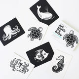 Little Naturalist Gift Set - Ocean From Wee Gallery