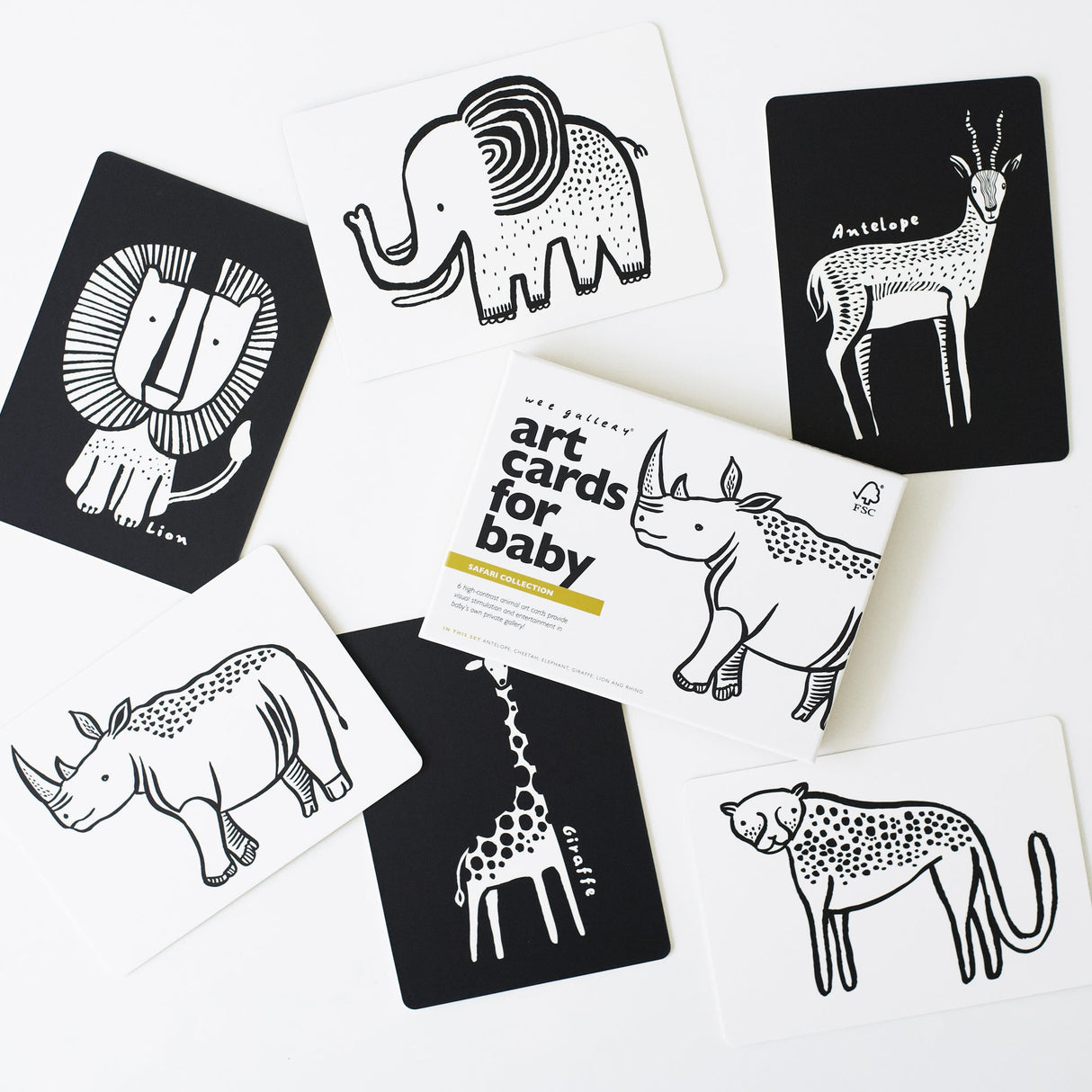 Art Cards for Baby - Safari Collection From Wee Gallery