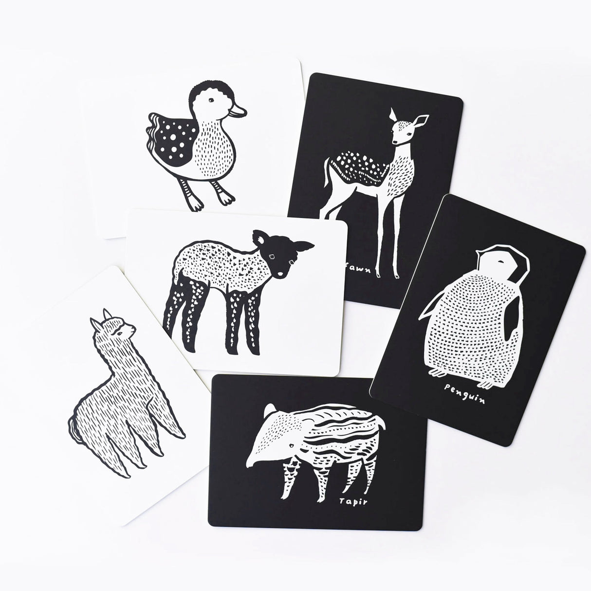 Art Cards for Baby - Baby Animals Collection From Wee Gallery