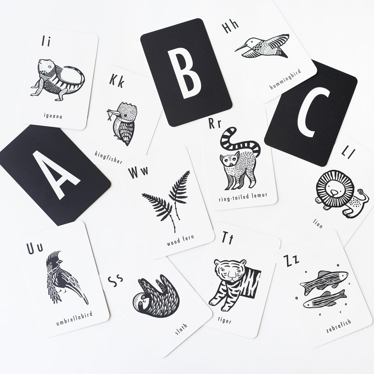 Jungle Alphabet Cards From Wee Gallery
