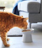 Tilted Pet Food Bowl from Yamazaki Home